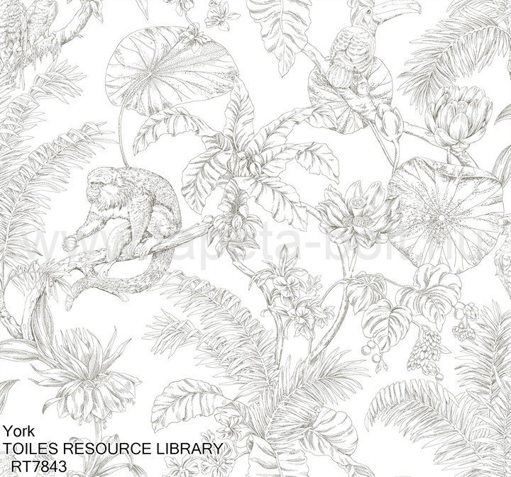 York Toiles Resource Library Rt7843