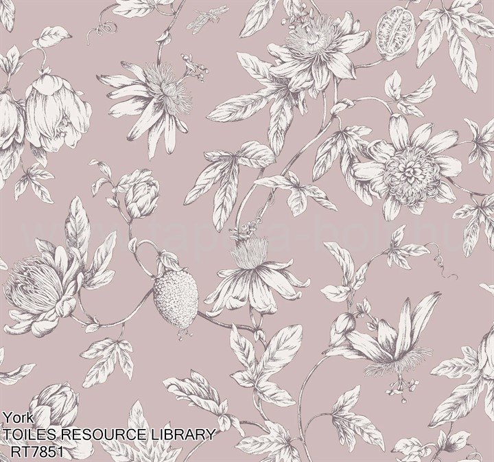 York Toiles Resource Library Rt7851