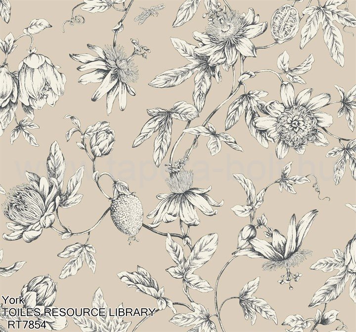 York Toiles Resource Library Rt7854