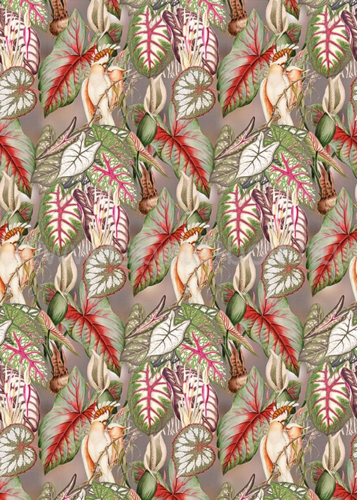 Behang Expresse Checking Out Nature Td4138-Designfile
