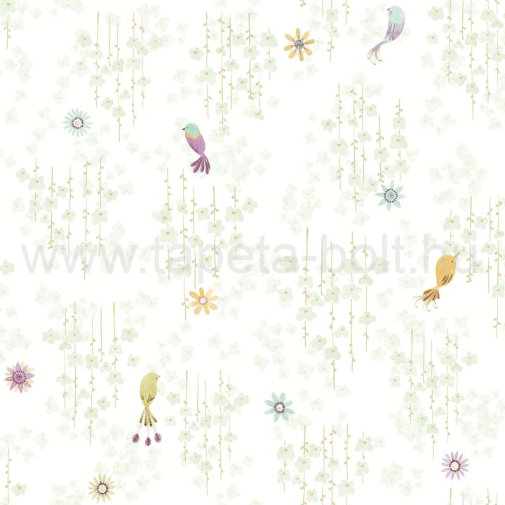 Outd200787117