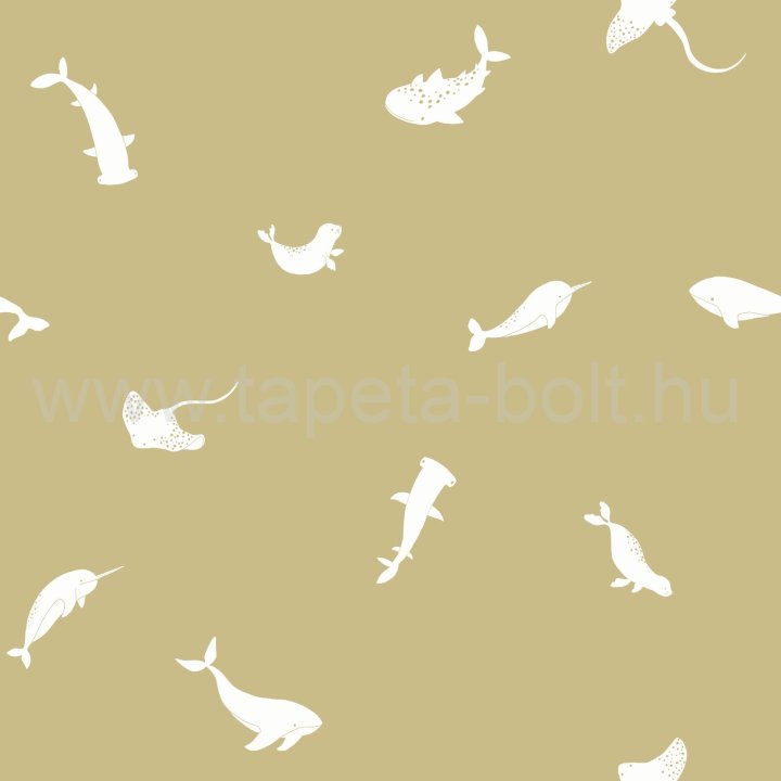 Outd200807207