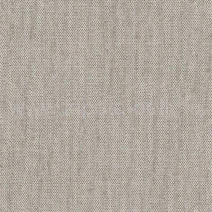 66081