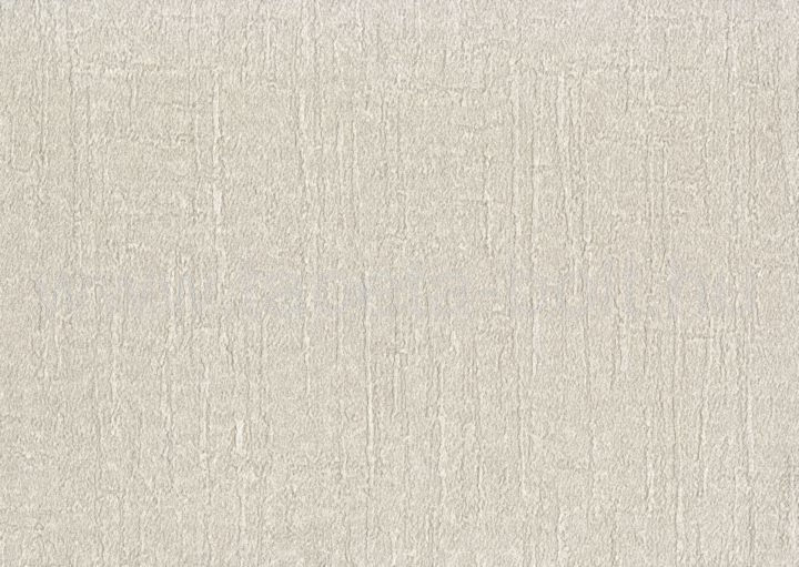Zeno88903