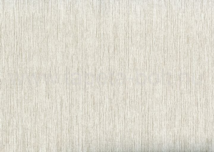 Zeno88915