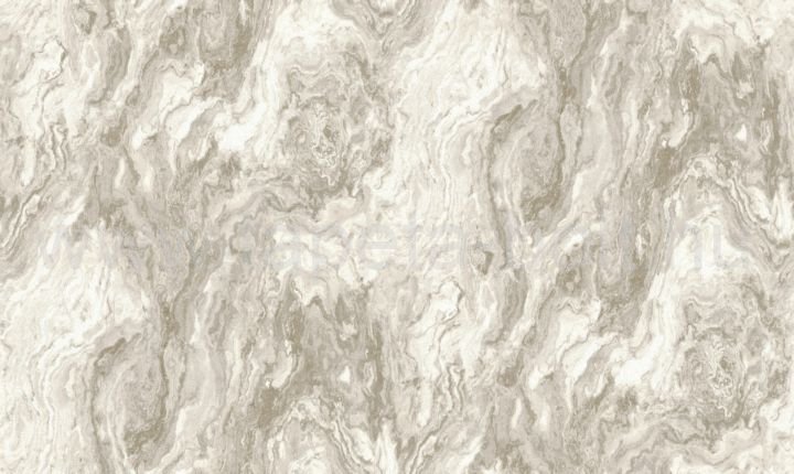Zeno15529