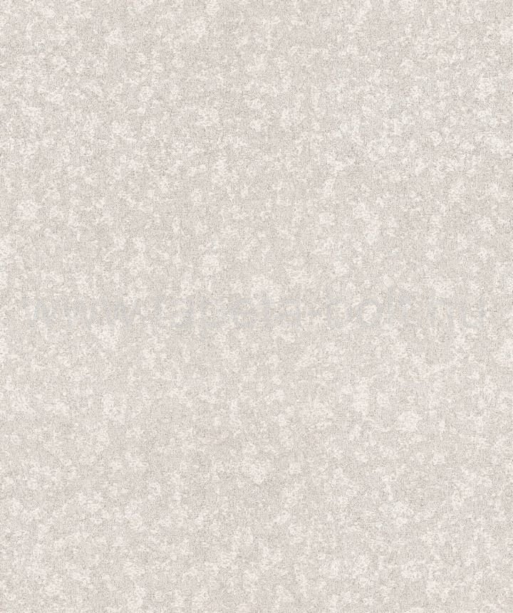 Zeno15536