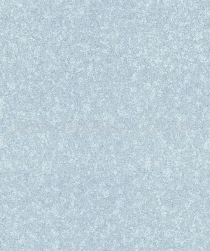 Zeno15562