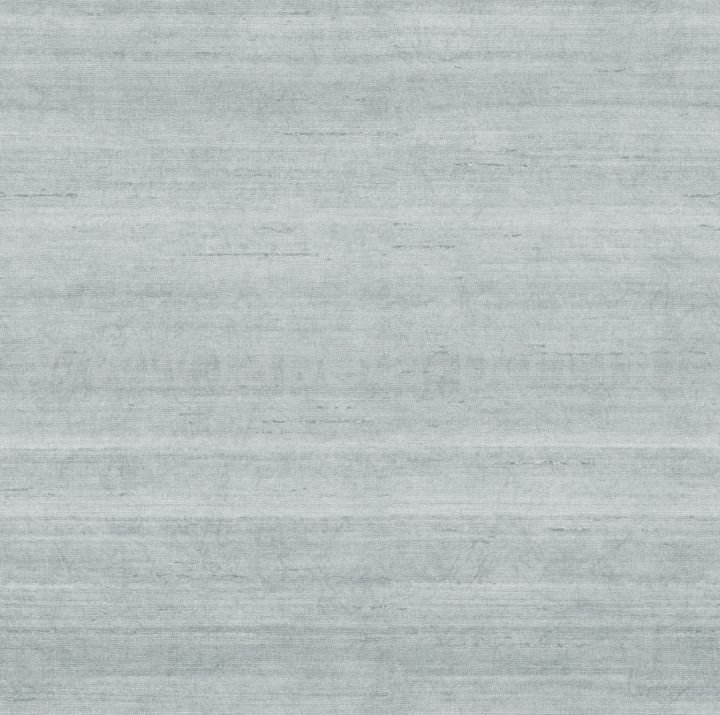 Zeno15581