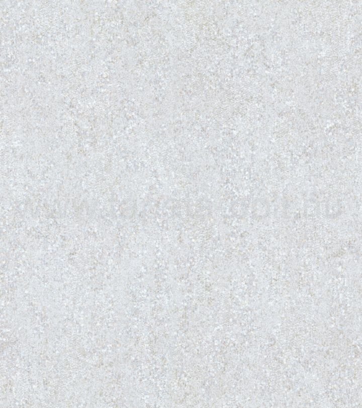 Zeno17704
