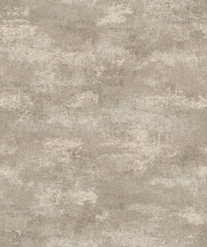 Zeno17709
