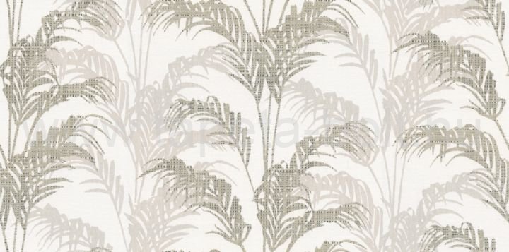 Zeno17737