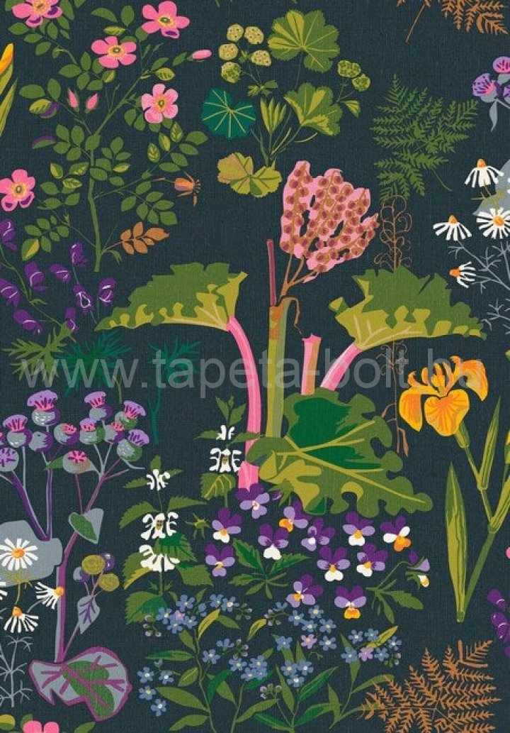 Boras Icons 1791