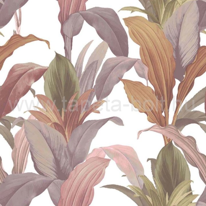 Cristiana Masi Botany House 15514