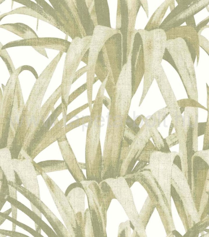 Cristiana Masi Botany House 15525