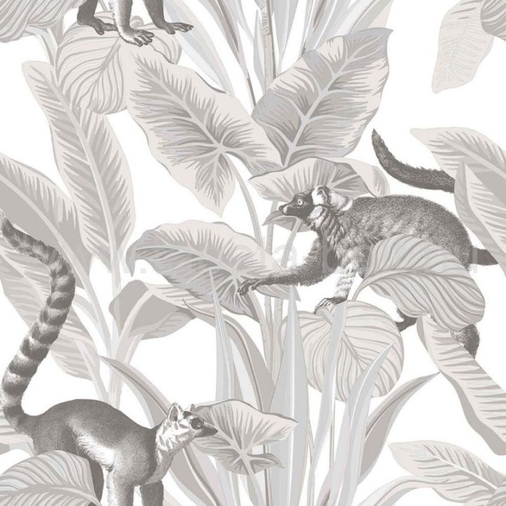 Cristiana Masi Botany House 15531