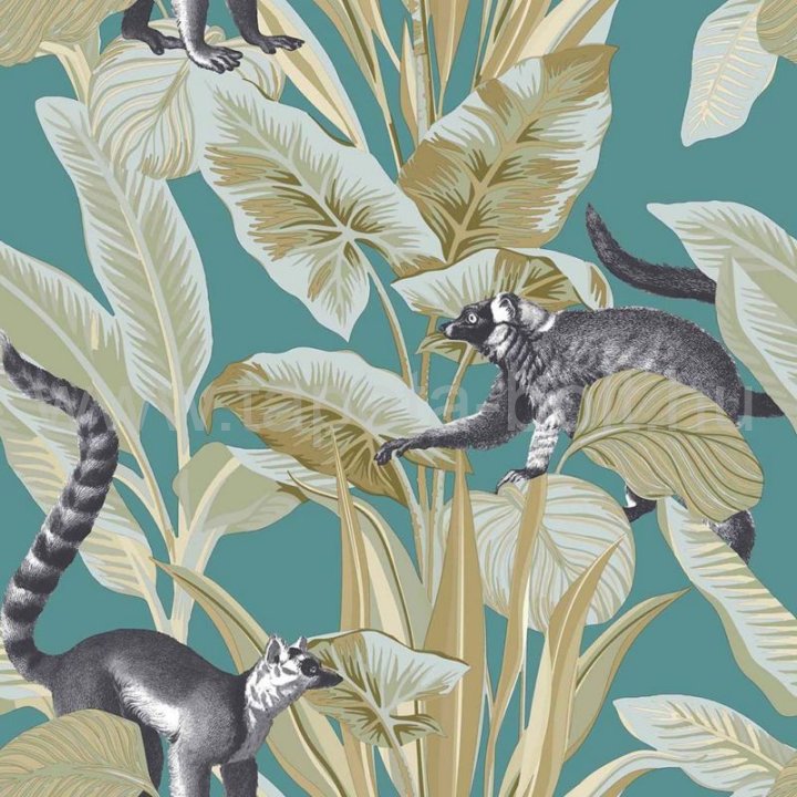 Cristiana Masi Botany House 15535