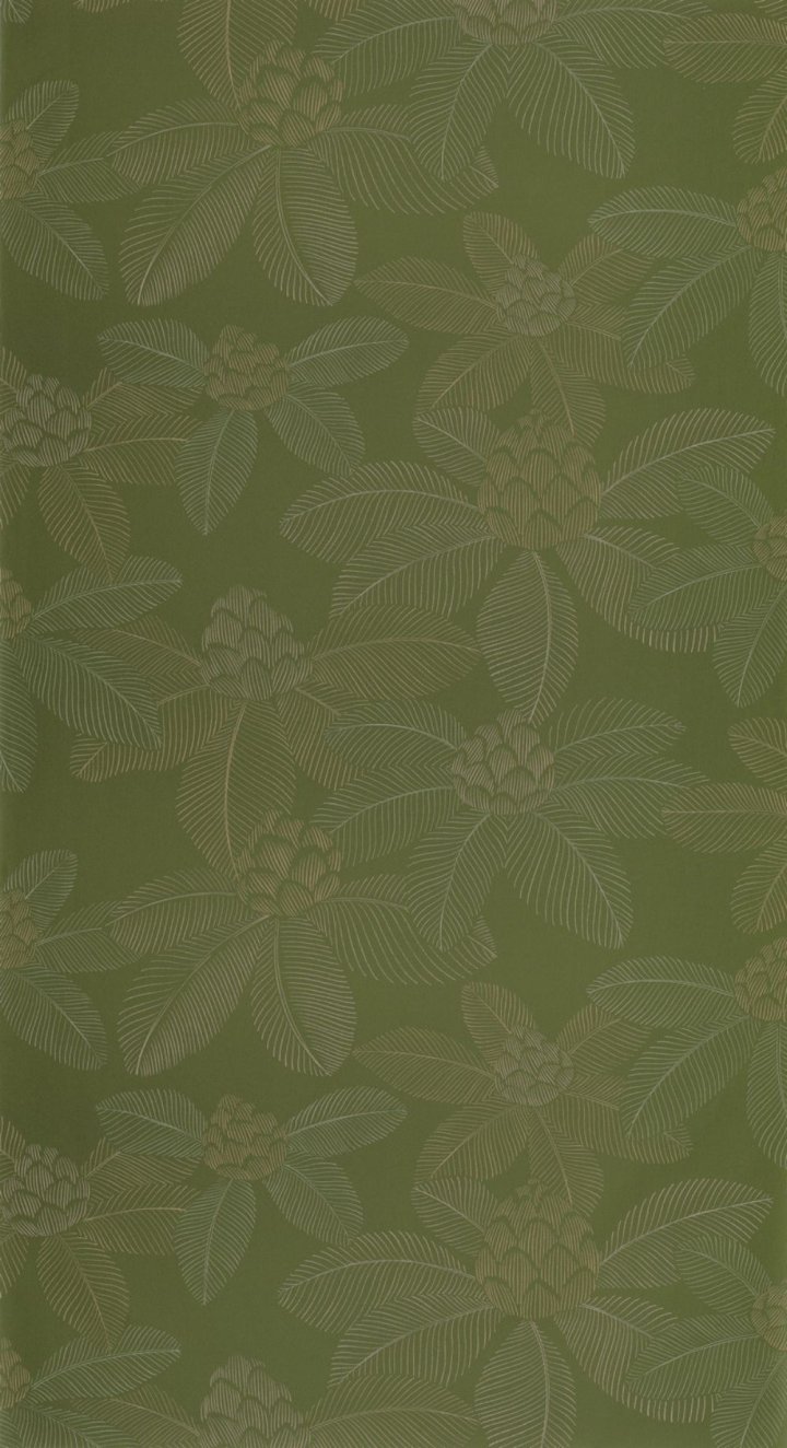 Aob106657172