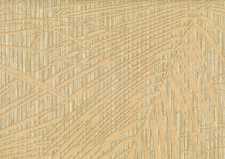 Jwall 50615