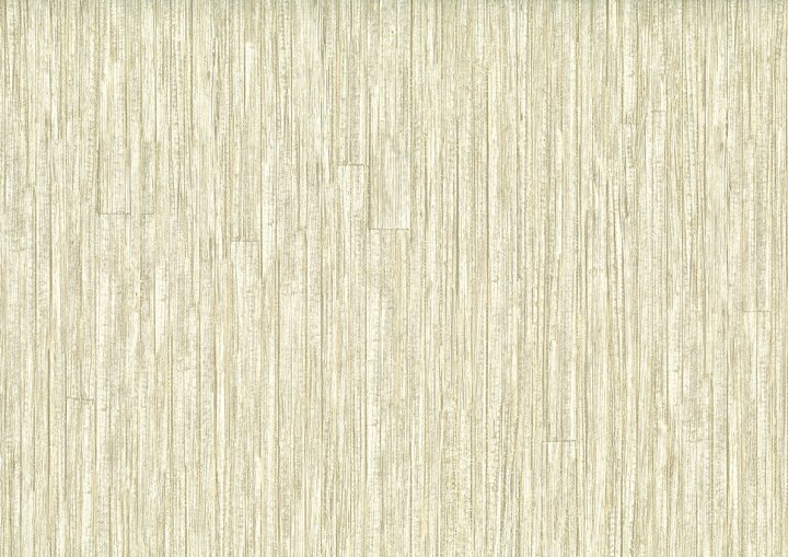 Jwall 50623