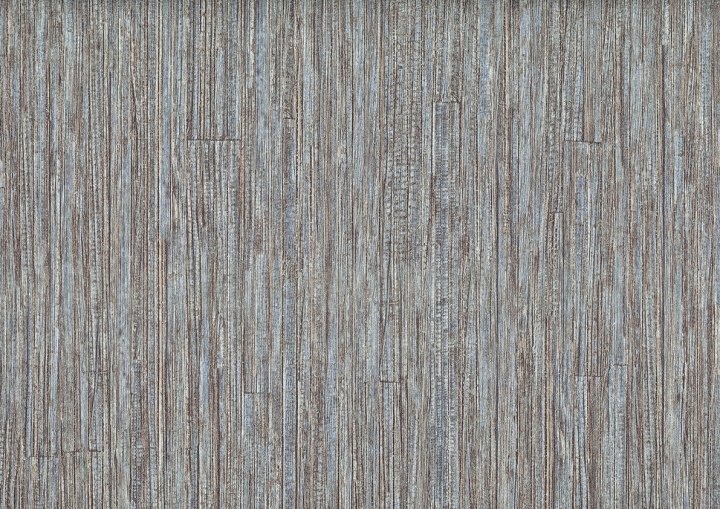 Jwall 50629