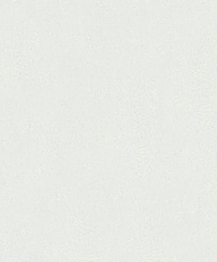 35544