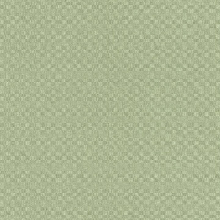 Rasch 423938