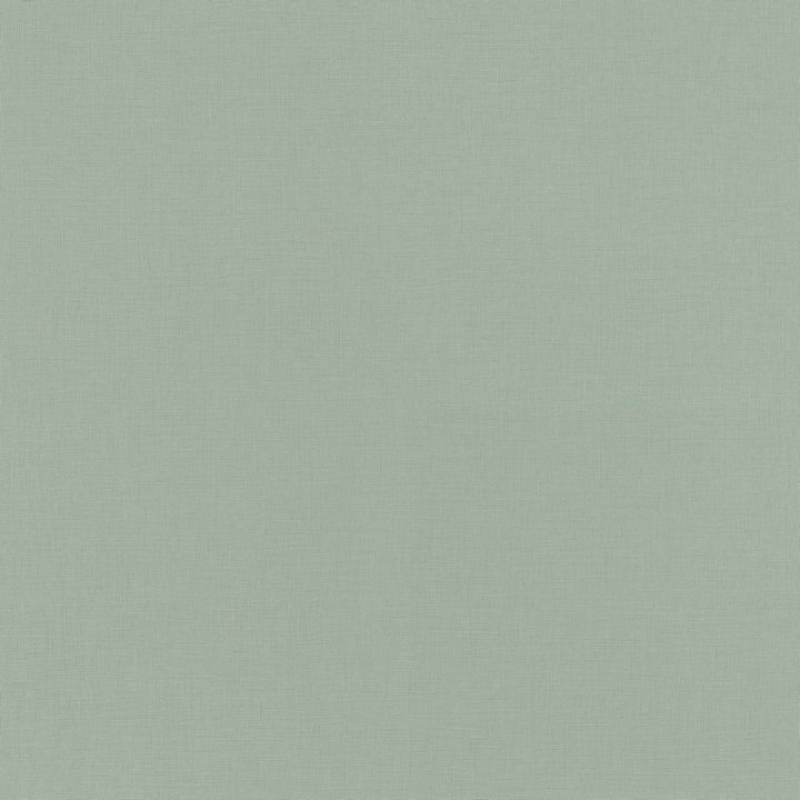 Rasch 537901