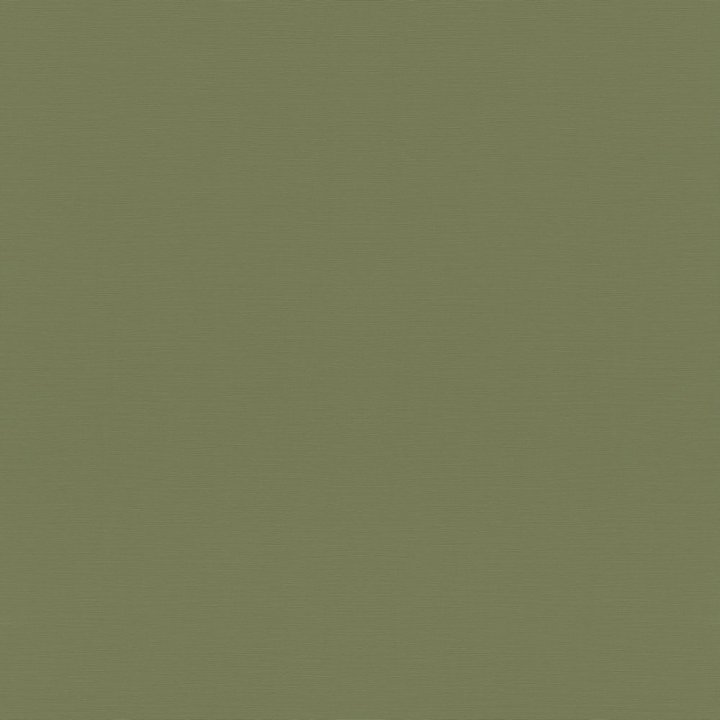 Rasch 687538