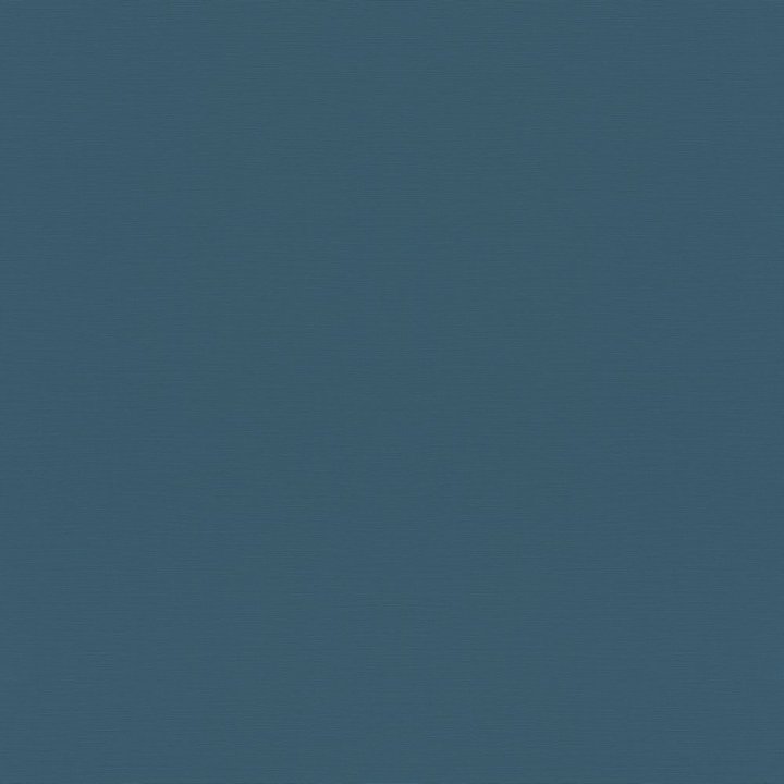 Rasch 688016