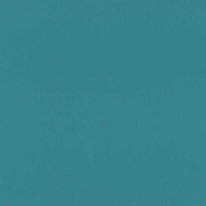 Rasch 690729