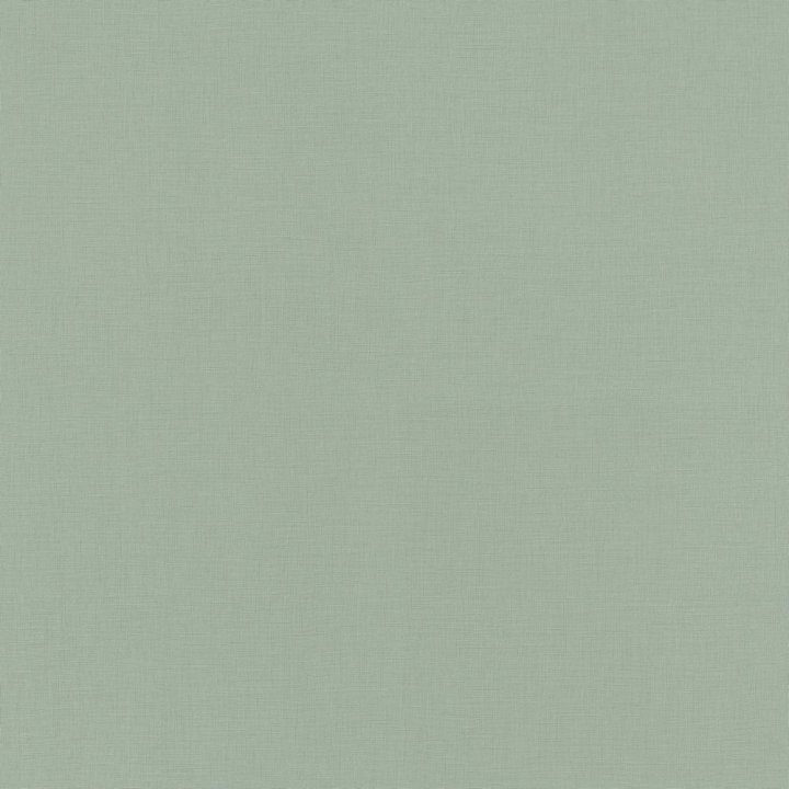 Rasch 690743