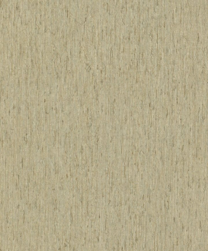Rasch 571110