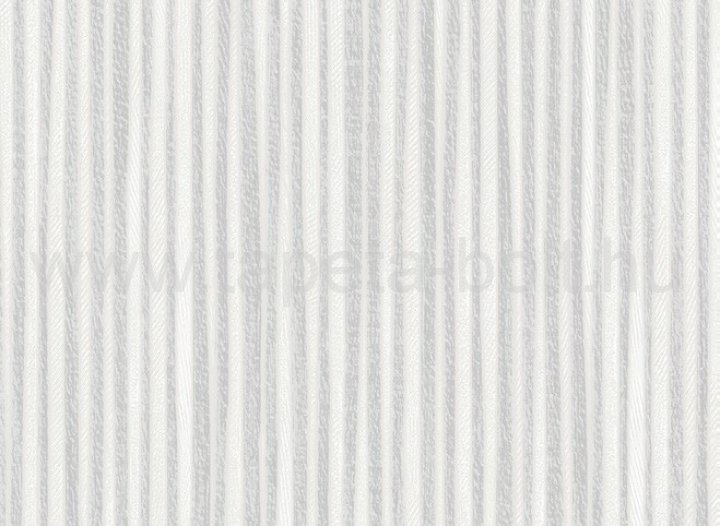 Zeno 13337