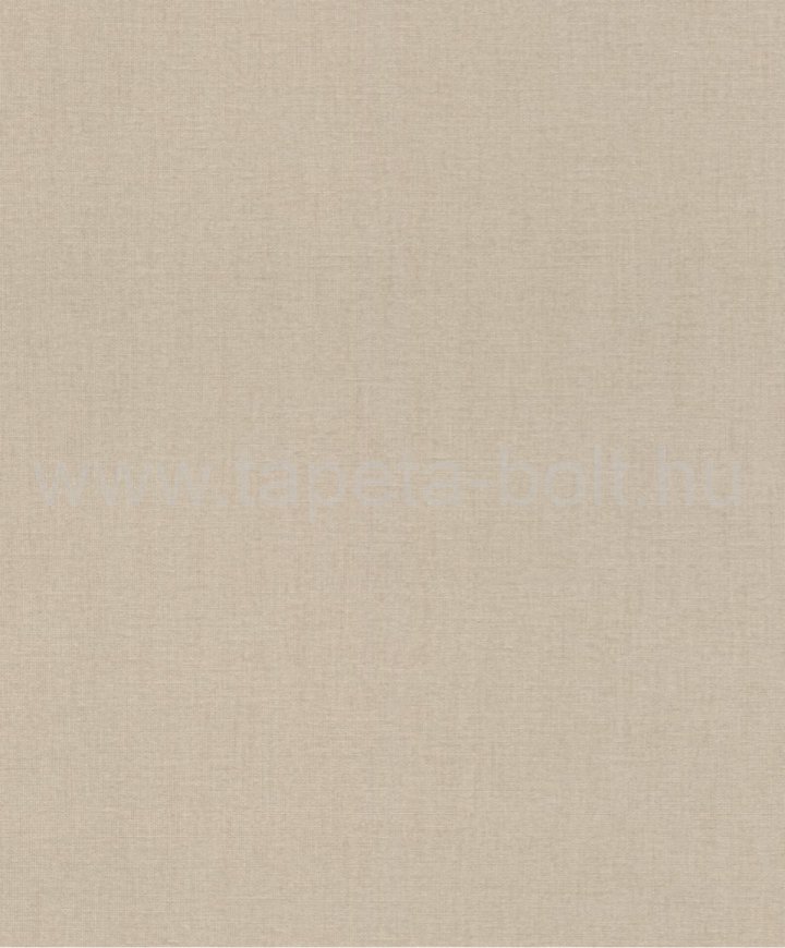 Rasch 484540