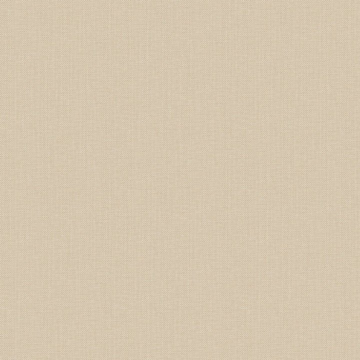 Nae2101560032