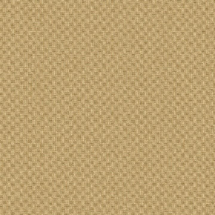 Nae2101561047