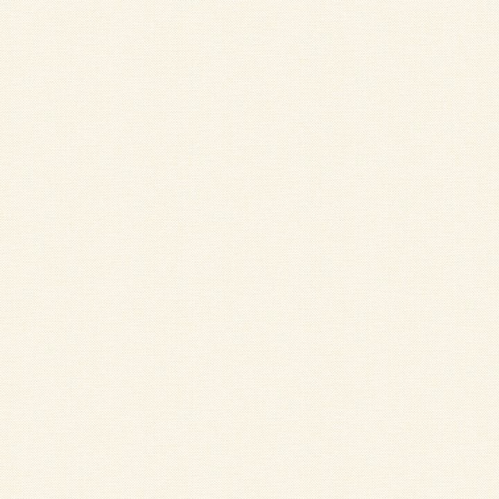 Nae2101561210