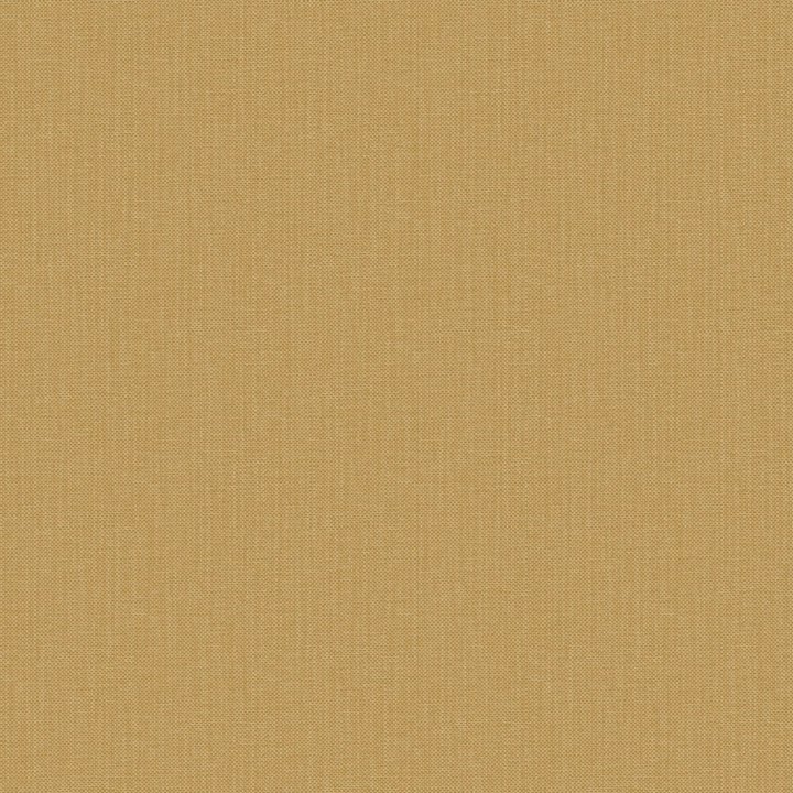 Nae2101561220