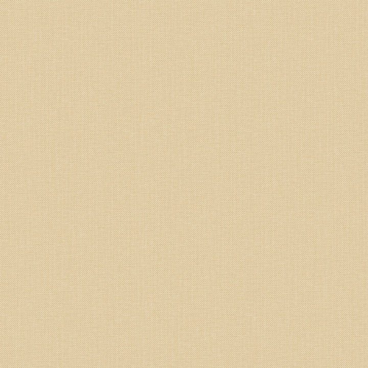 Nae2101561379