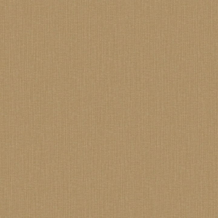 Nae2101561670