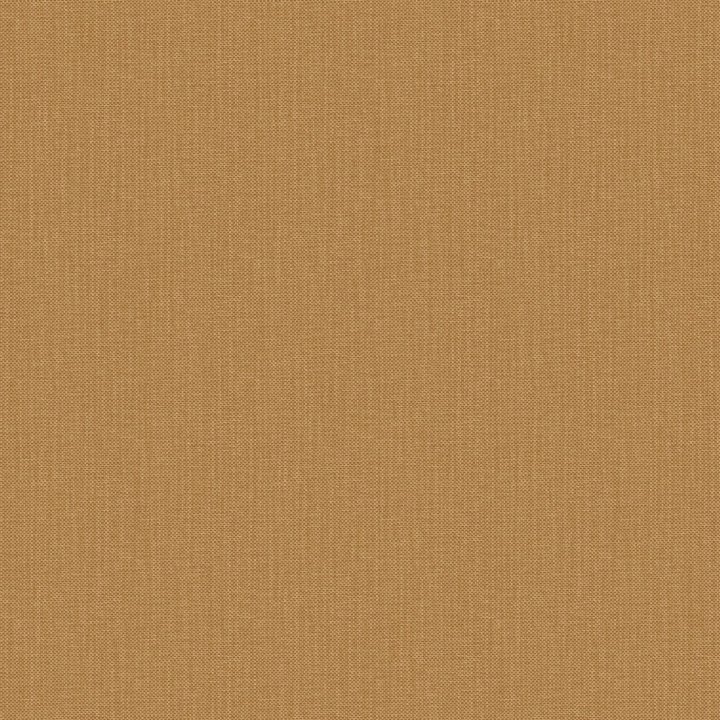 Nae2101561700