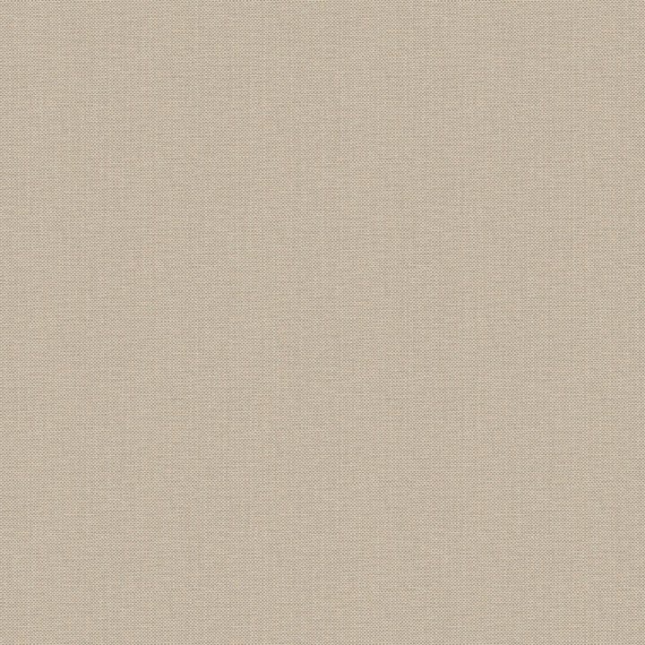 Nae2101561811