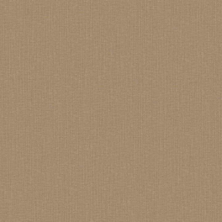 Nae2101561856