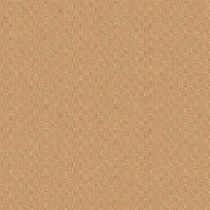 Nae2101561988