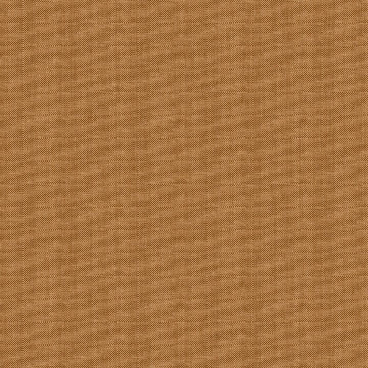 Nae2101563050
