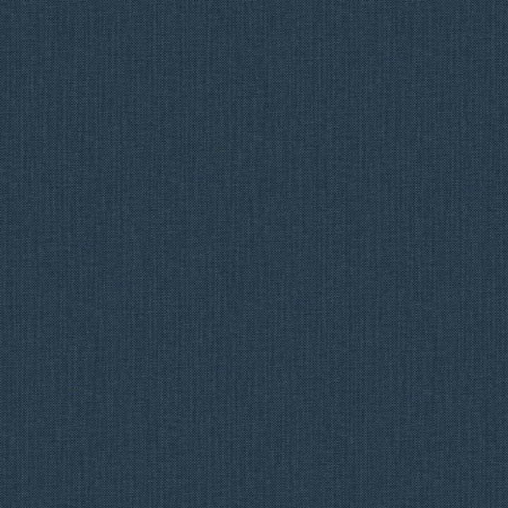 Nae2101566303