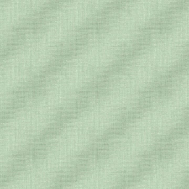 Nae2101567001