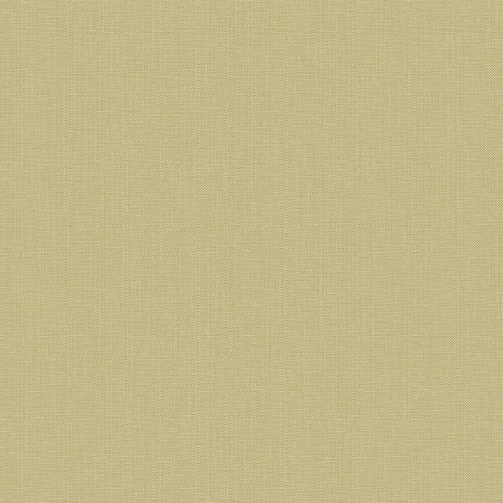 Nae2101567290
