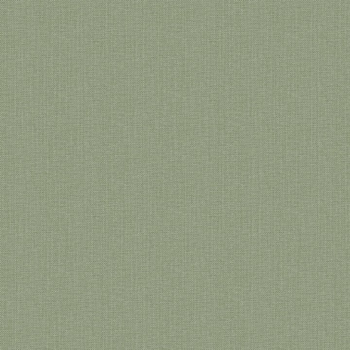 Nae2101567311